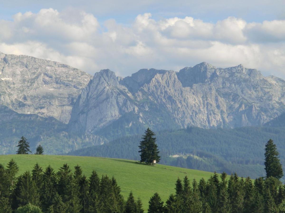 Apartment In Lechbruck Bavaria With Garden Ruang foto